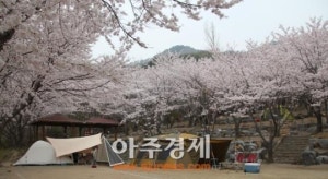 가산산성마을 캠핑장