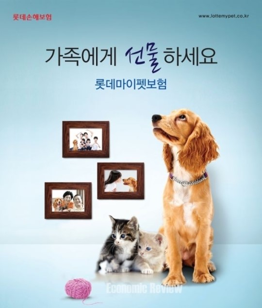 애완동물 보험 (Pet Insurance)