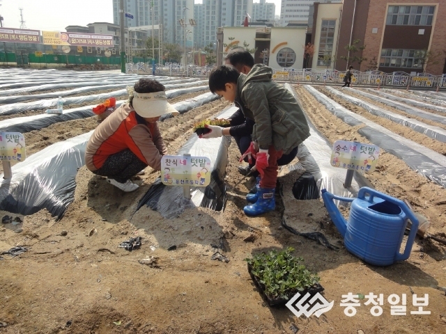 음성 용천초, 아름누리 초록 생태교실 운영