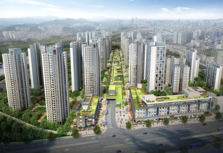대장 2026