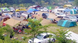 돌고래펜션야영장(일반)