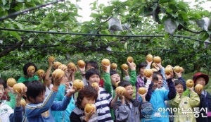 기쁨두배(아산배마을)