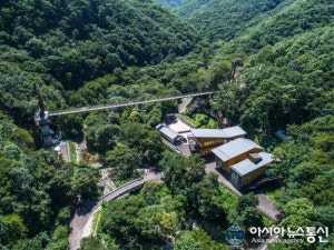 금산산림문화타운