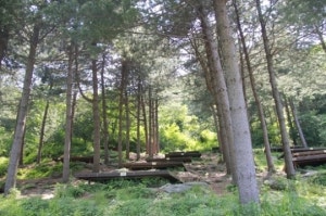 산림청 국립자연휴양림관리소