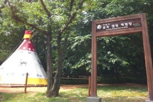어린이대공원 숲속캠핑체험장