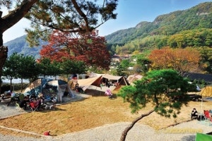 그린빌캠핑장