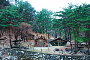 유명산자연휴양림