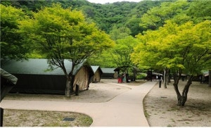 소백산국립공원 남천야영장