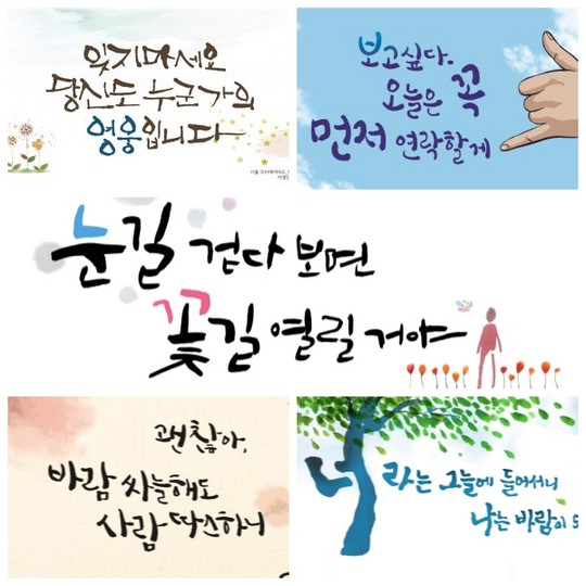 가을에 피는 꽃 종류와 특징