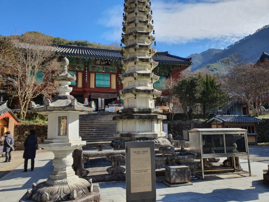 Hadong Ssanggyesa Tea Plantation Trip (하동 쌍계사 차밭 여행)