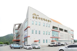 오목골캠핑장-맑은숲캠프