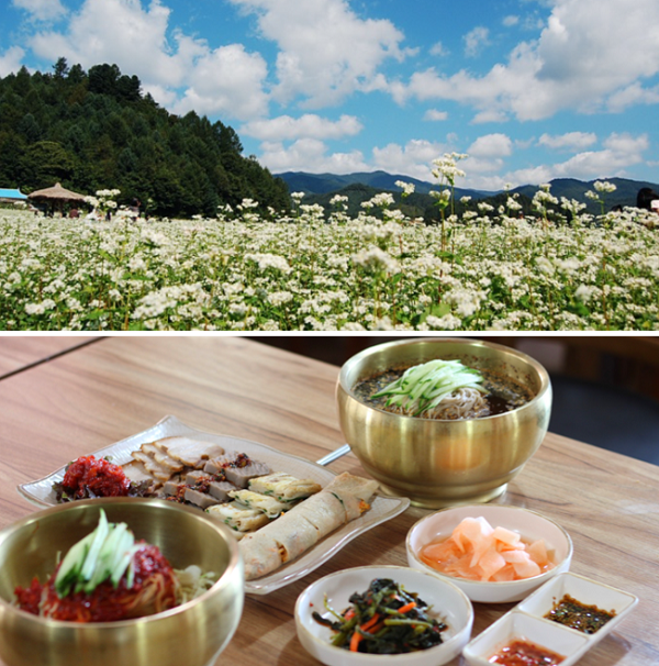 봉평고향막국수 (Bongpyeong Gohyaguksu)