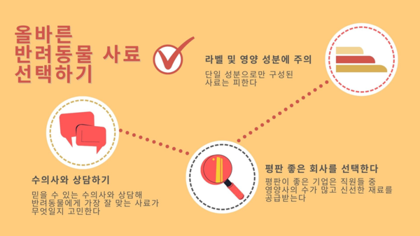 반려동물 병원 정보