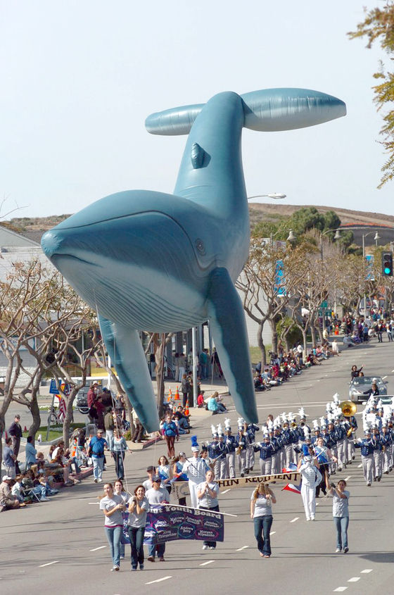 “고래가 찾아 왔다”…다양한 해변 이벤트 풍성