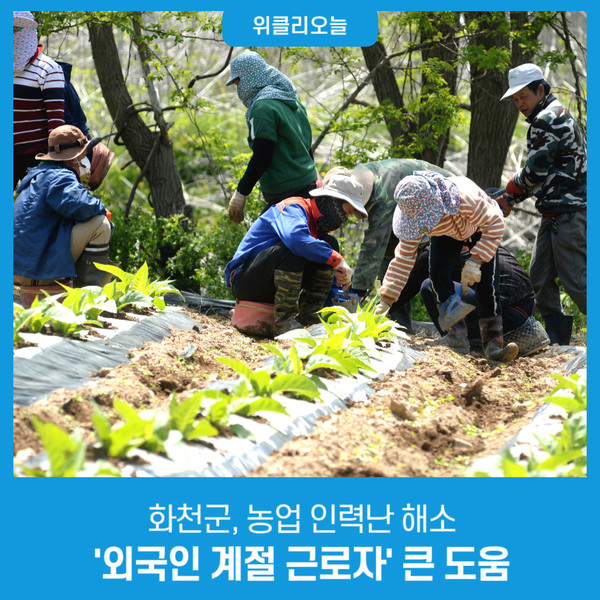 화천군, 농업 인력난 해소 '외국인 계절 근로자' 큰 도움