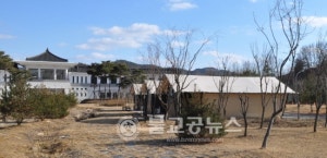 굿뜨래웰빙마을 글램핑(일반)