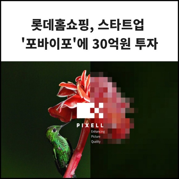 포바이포(389140) 관련 이미지 7