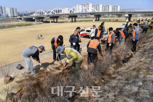 영주시, 철쭉 복원 기념 식재 행사 개최…9년생 철축 300주 식재