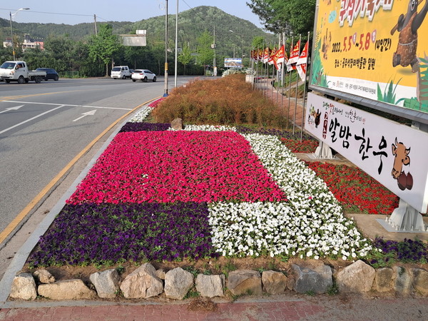 [포토] 공주시 옥룡동, 꽃밭 쾌적한 환경 조성