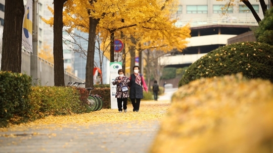 통술집 (Tongsoolzip)