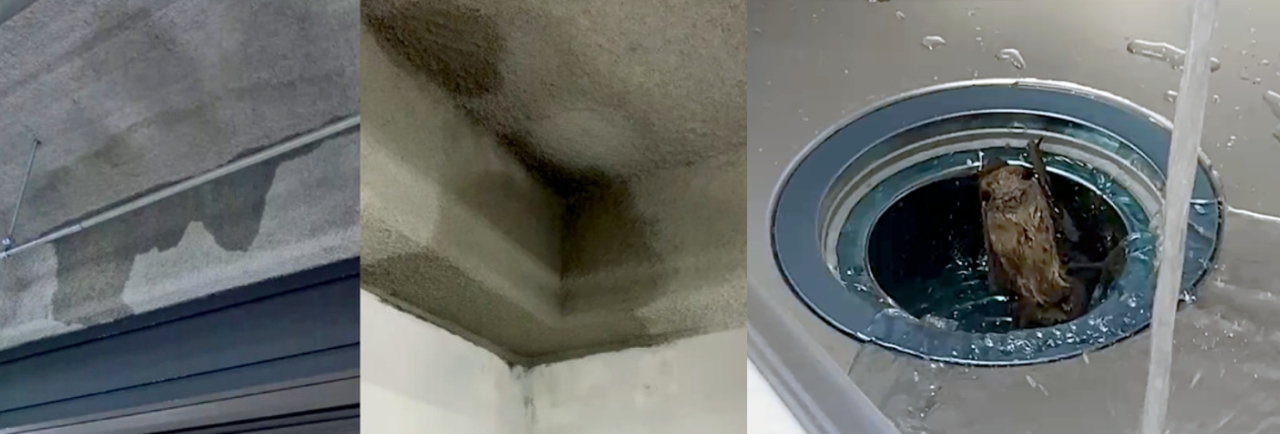 '하자투성이' 용인 경남아너스빌 디센트 아파트 분양자들 입주 거부