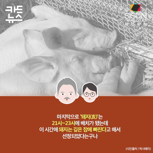12간지 동물 의미와 순서