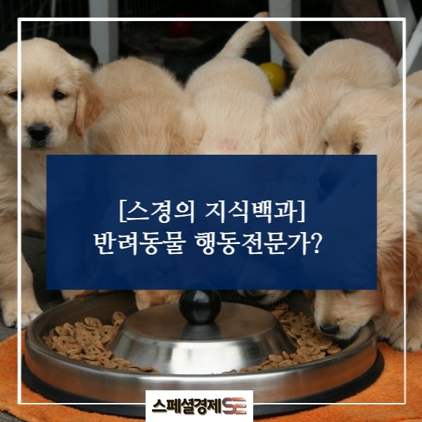 반려동물 행동심리 전문가