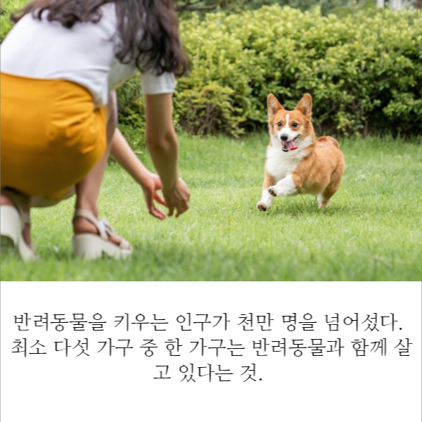 반려동물 행동심리 전문가