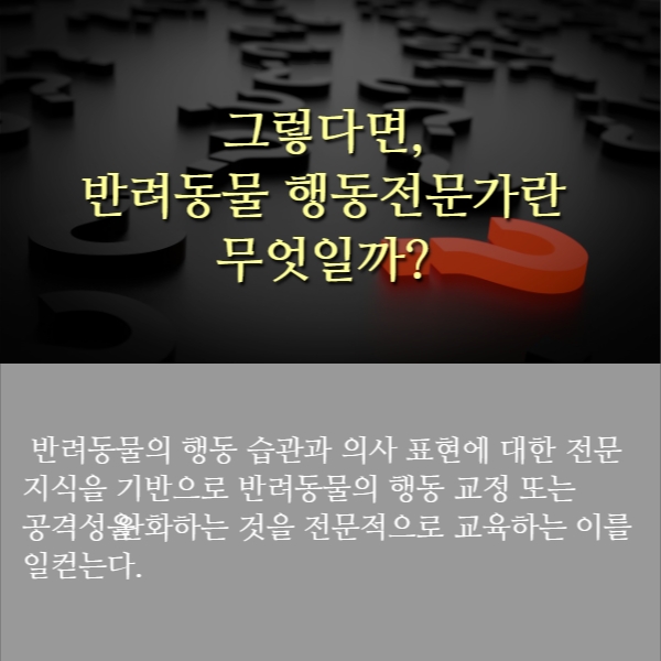 반려동물 행동심리 전문가