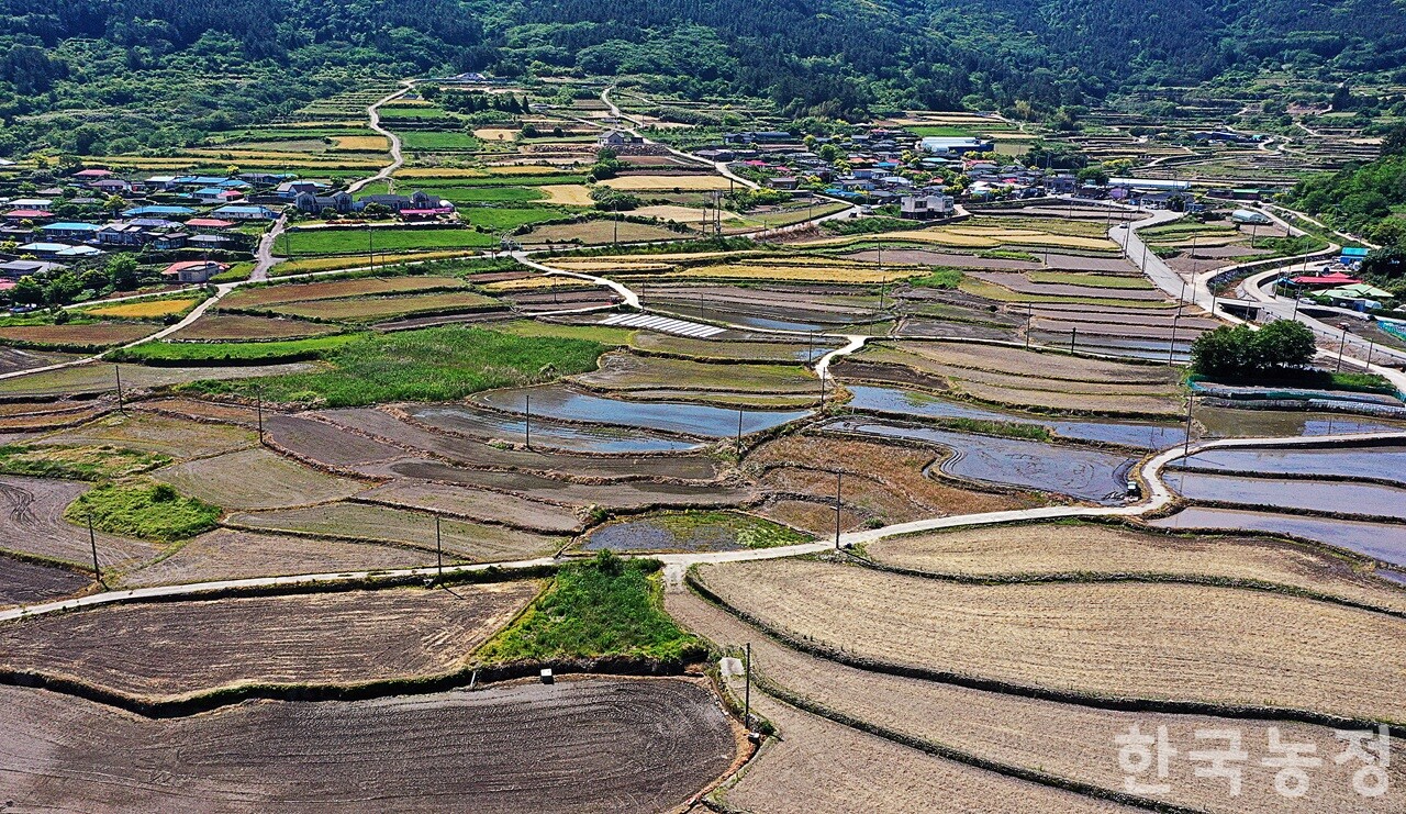 4. 農地強制処分命令は直ちに下されるのか