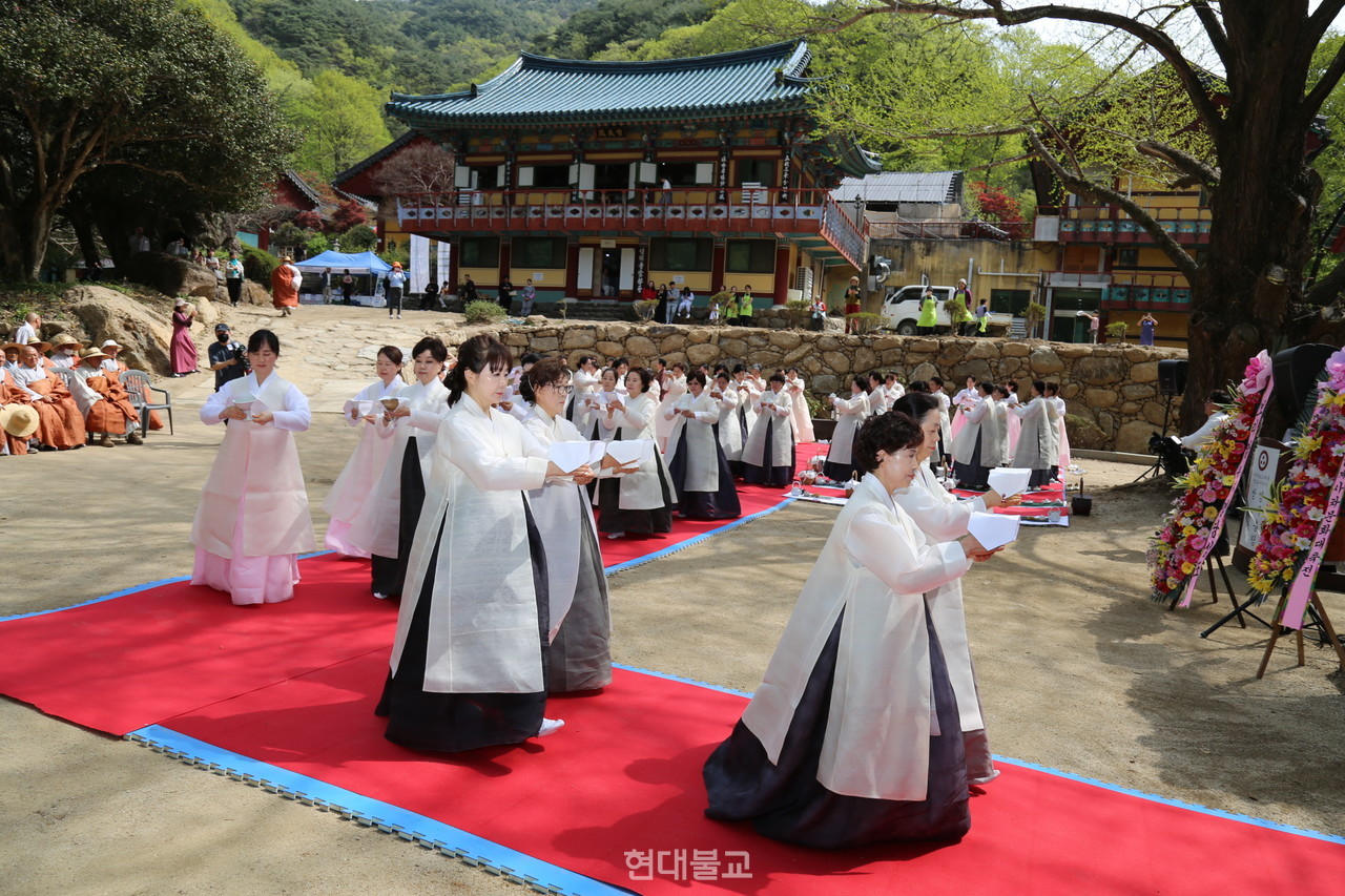 Hadong Ssanggyesa Tea Plantation Trip (하동 쌍계사 차밭 여행)