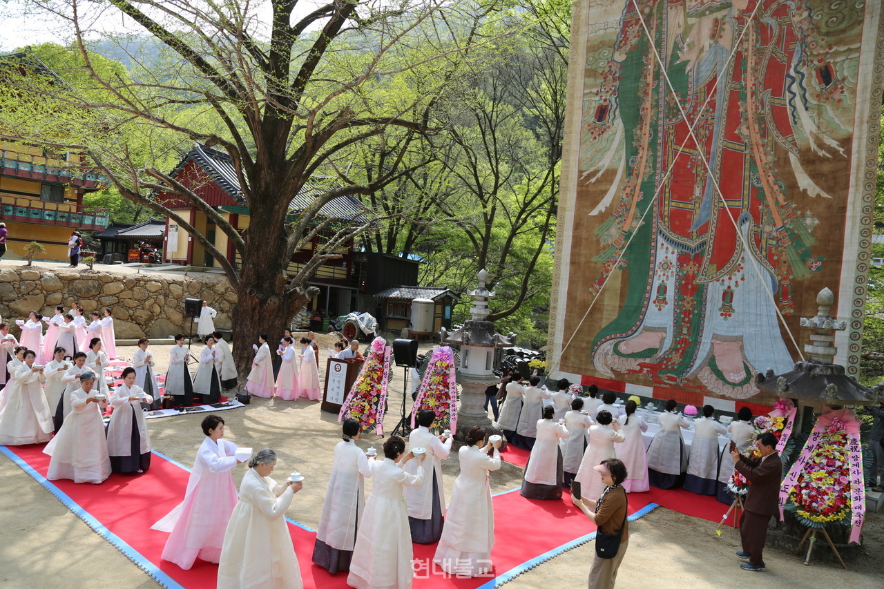 Hadong Ssanggyesa Tea Plantation Trip (하동 쌍계사 차밭 여행)
