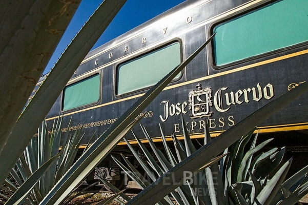 멕시코 할리스코