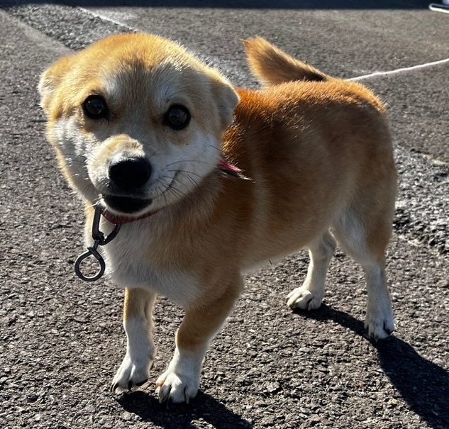 경남 남해군 아파트 실거래가 분석 — 단지별 시세·평당가·거래 동향 (2026)