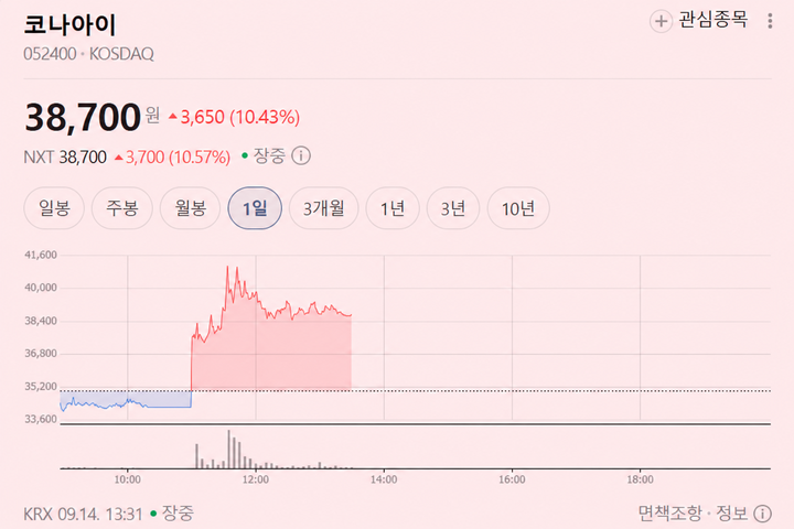 1. 자기주식 소각의 구체적인 내용