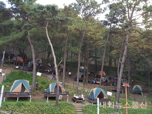 뿌리공원캠핑장
