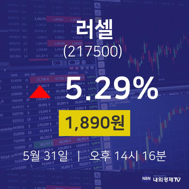 러셀2000 ETF (IWM) 주가 분석 — 시세·전망·투자 포인트 총정리 (2026) — 주식 데이터 이미지