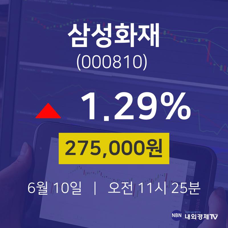삼성화재 vs 페이팔 비교 — 금융 투자 선택