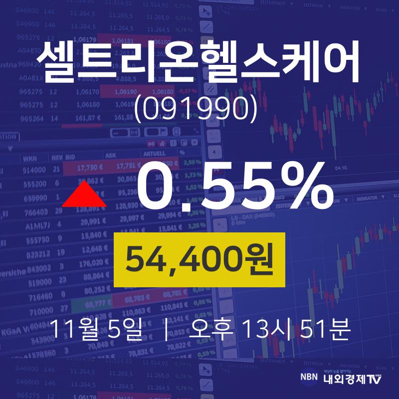 셀트리온 vs 셀트리온헬스케어 비교 — 바이오 투자 선택