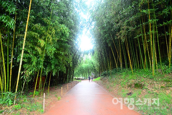 담양 떡갈비와 대통밥