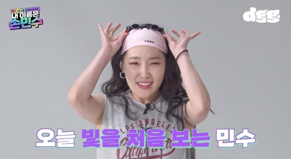손민수