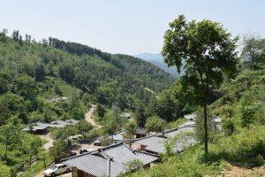 맑은숲캠프