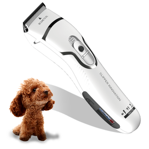 펫미용 전문점 서울