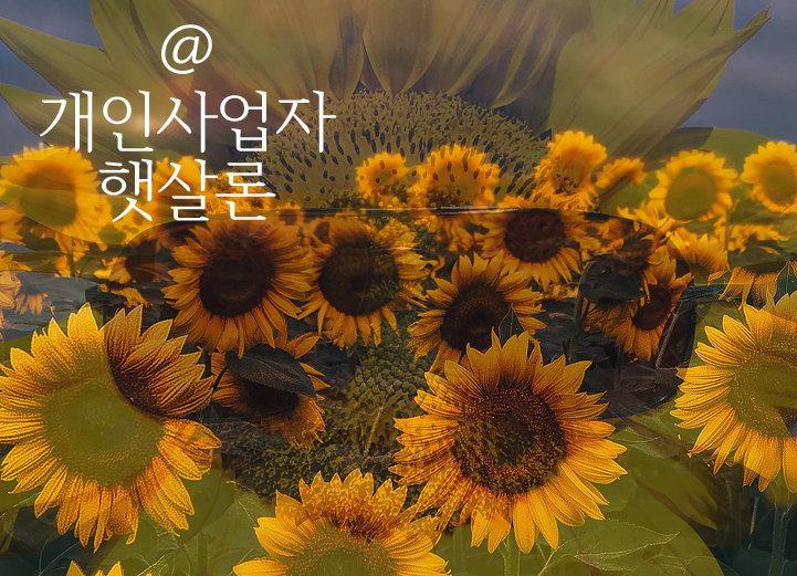 사업자 햇살론 대출 금리 비교 확인 방법