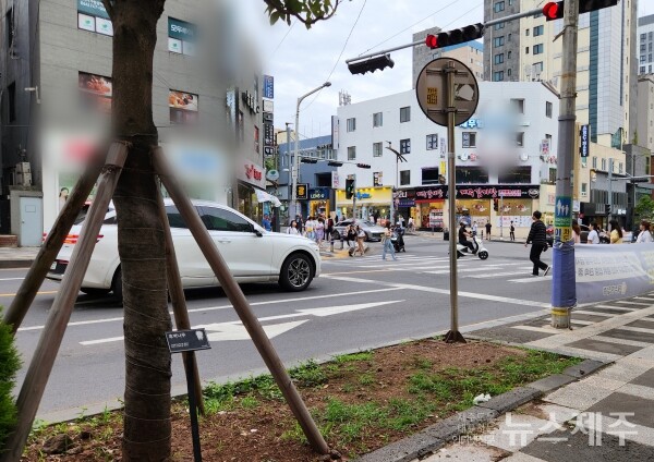 "안녕하세요. 이곳은 제주시 연동입니다"