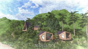 태백고원자연휴양림 자동차야영장