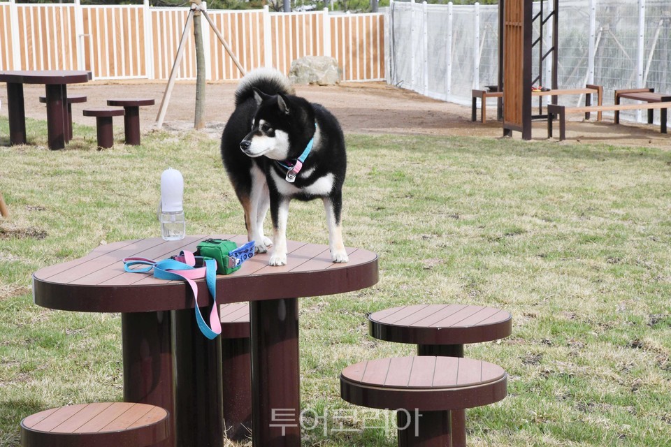 고향식당 2