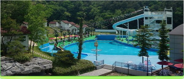 용인로만바스
