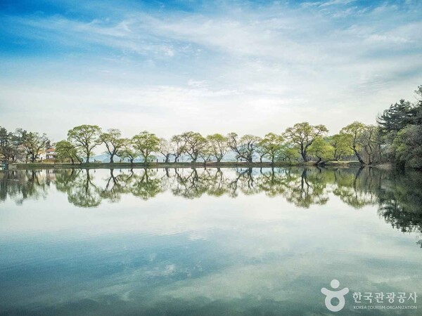 경산 가볼만한곳 추천 명소, 경북 감성 가득한 하루 여행