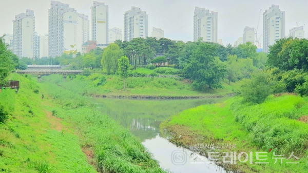 [분양 현장] '브라운스톤 부평'의 주변 환경과 교통
